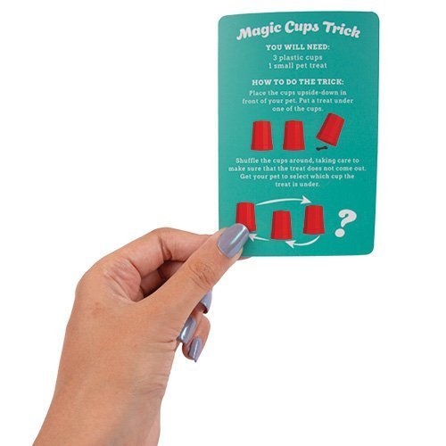Magic Tricks With Your Pet